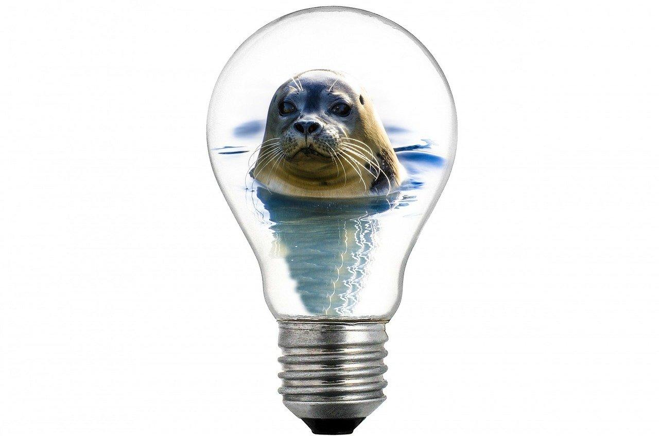 2. 不同品牌灯泡价