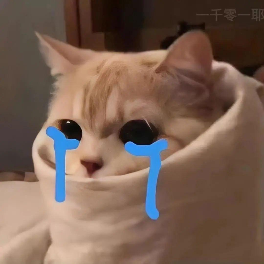表情包|流泪猫猫头表情包猫咪哭泣委屈情侣日常聊天表情包