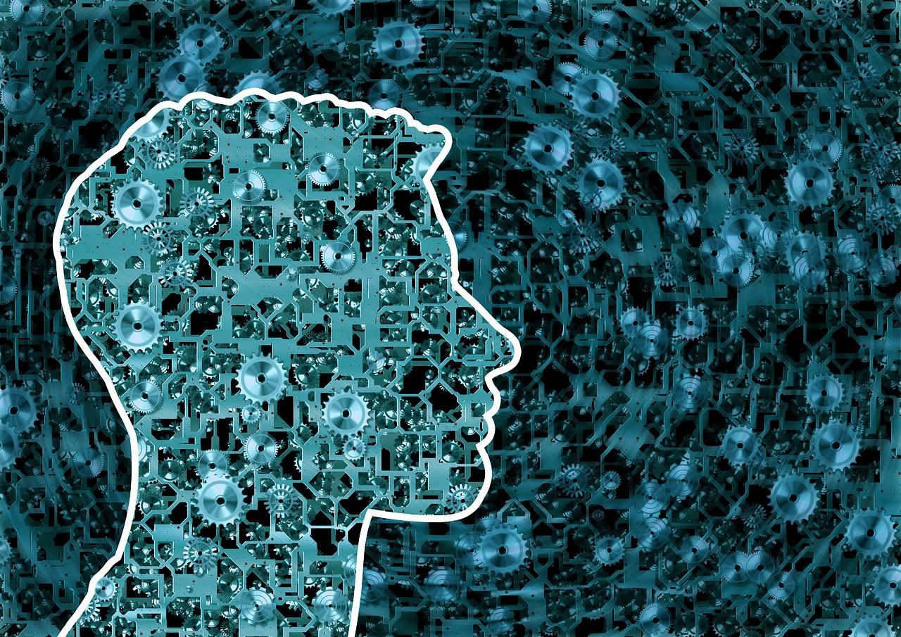 4. 黄毛掌阴影处理