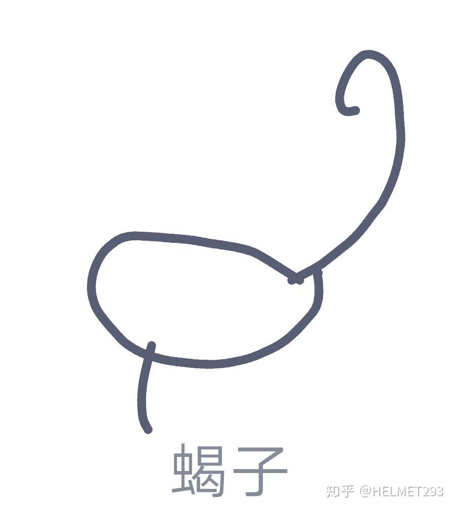 qq画图红包的蝎子怎么画