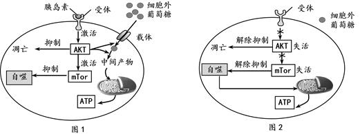 哺乳期用的的护肤品有成分禁忌吗