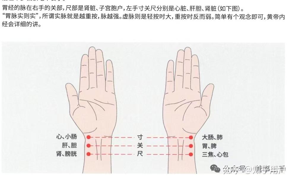 三 足阳明胃经 (倪海厦针灸大成笔记) - 知乎