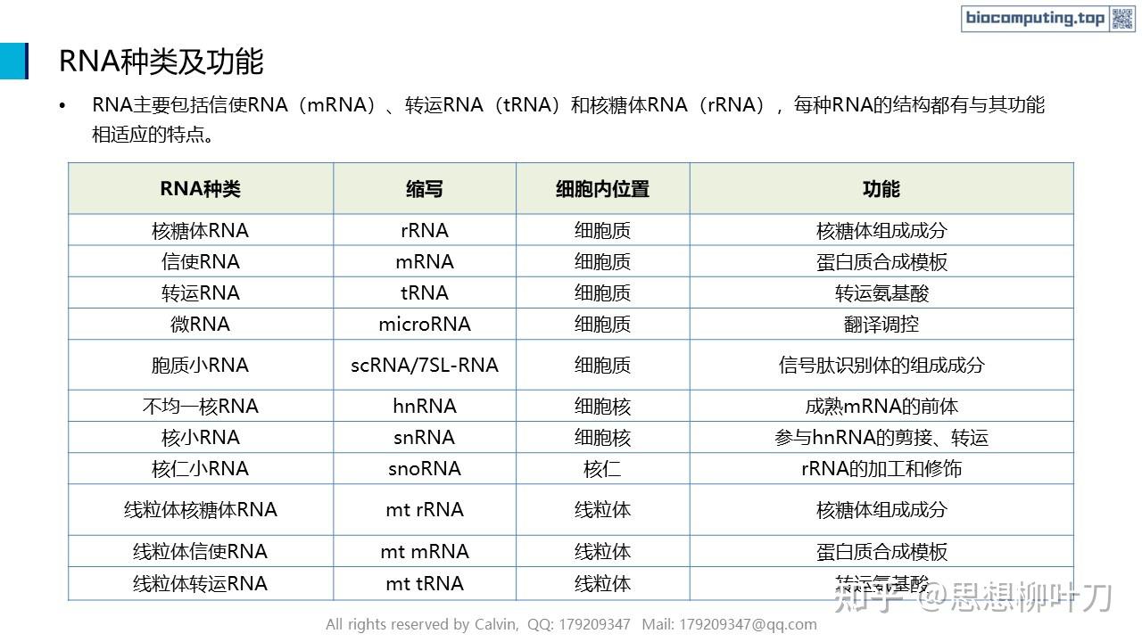 AI+生物计算基础 - 4. RNA的结构与功能 - 知乎