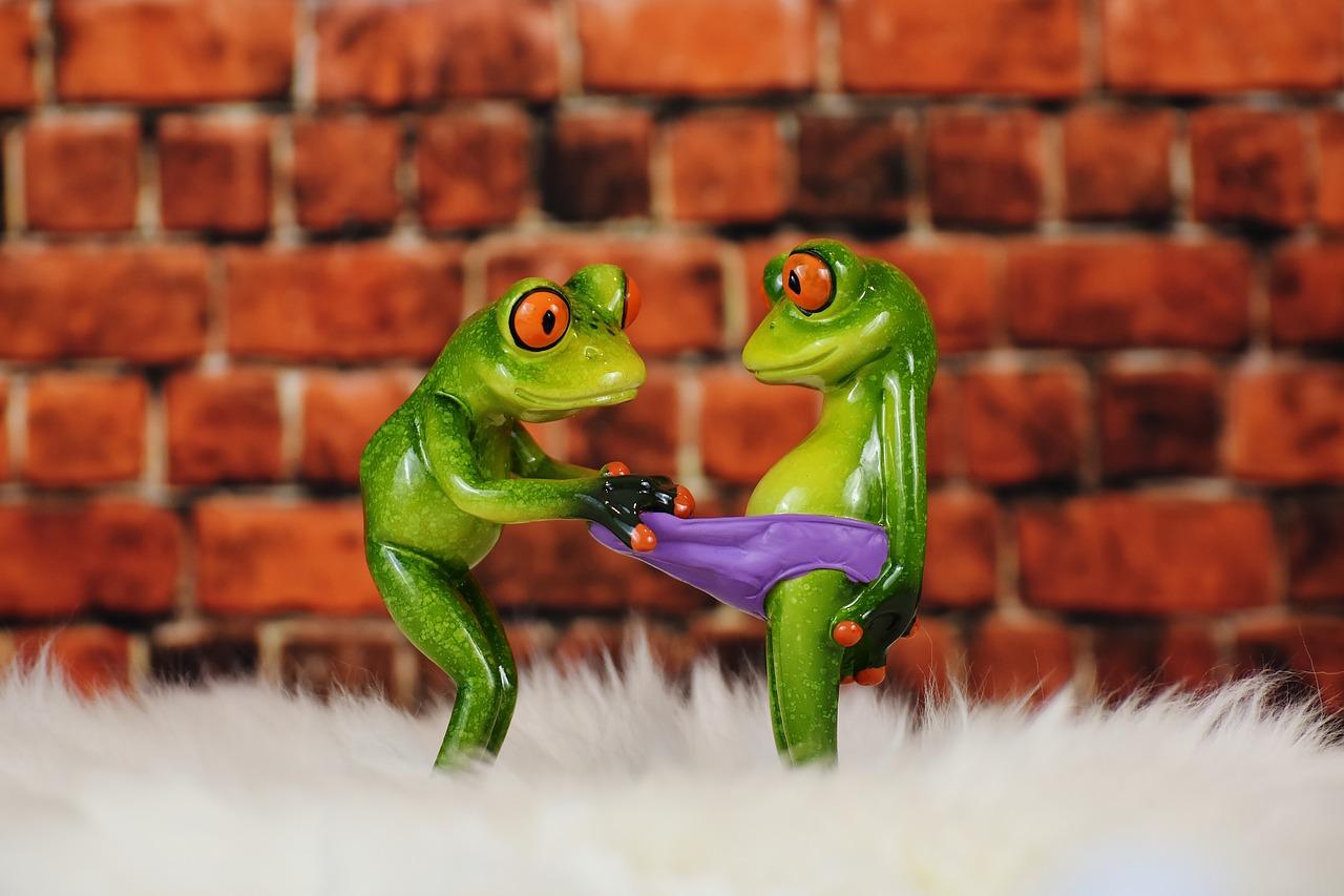 2. 男士三角内裤