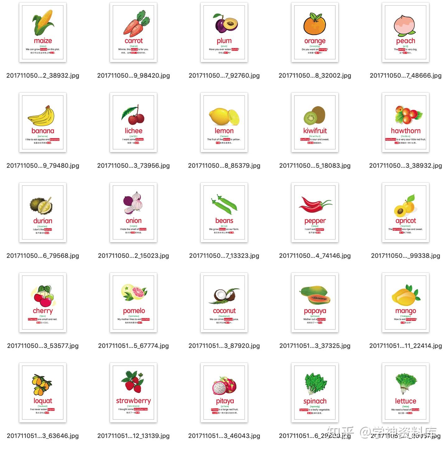 少儿英语单词卡片，1260张，有音标，有例句，可直接打印 - 知乎