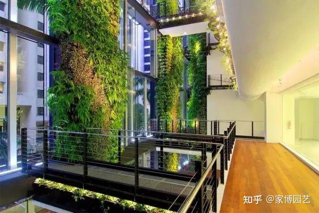 家博园艺｜在室内与自然相遇——关于室内空间造景 - 知乎