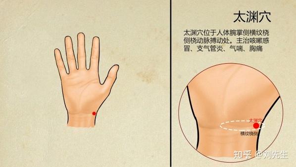 人体十二经络之原穴，断全身百病，原穴配络穴治之 - 知乎