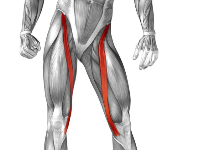 罗氏正骨法缝匠肌股直肌损伤的治疗