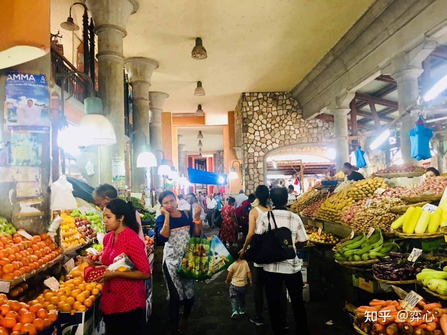 去过毛里求斯后你最大的感受是什么?