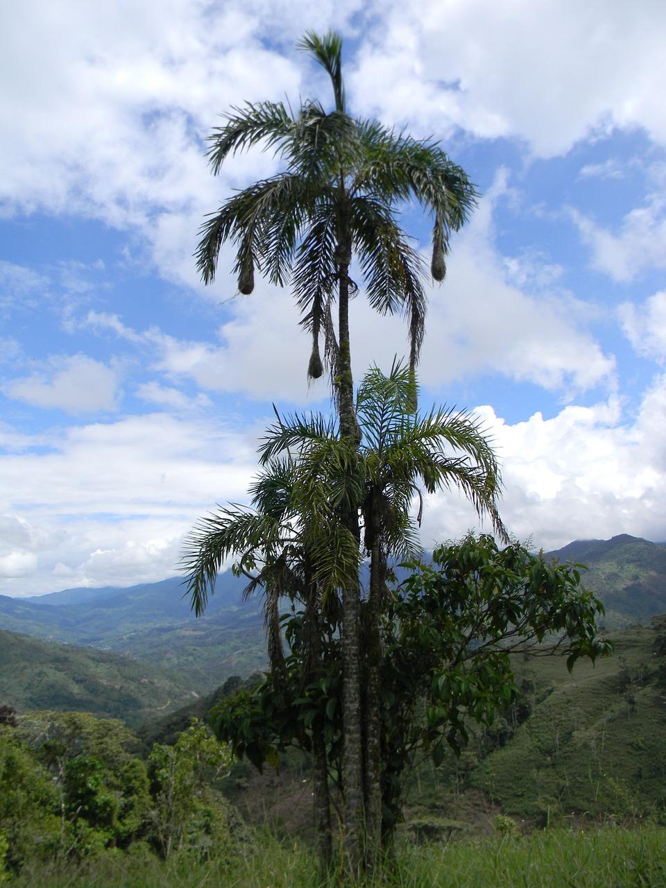 3. 树营绿色住宅