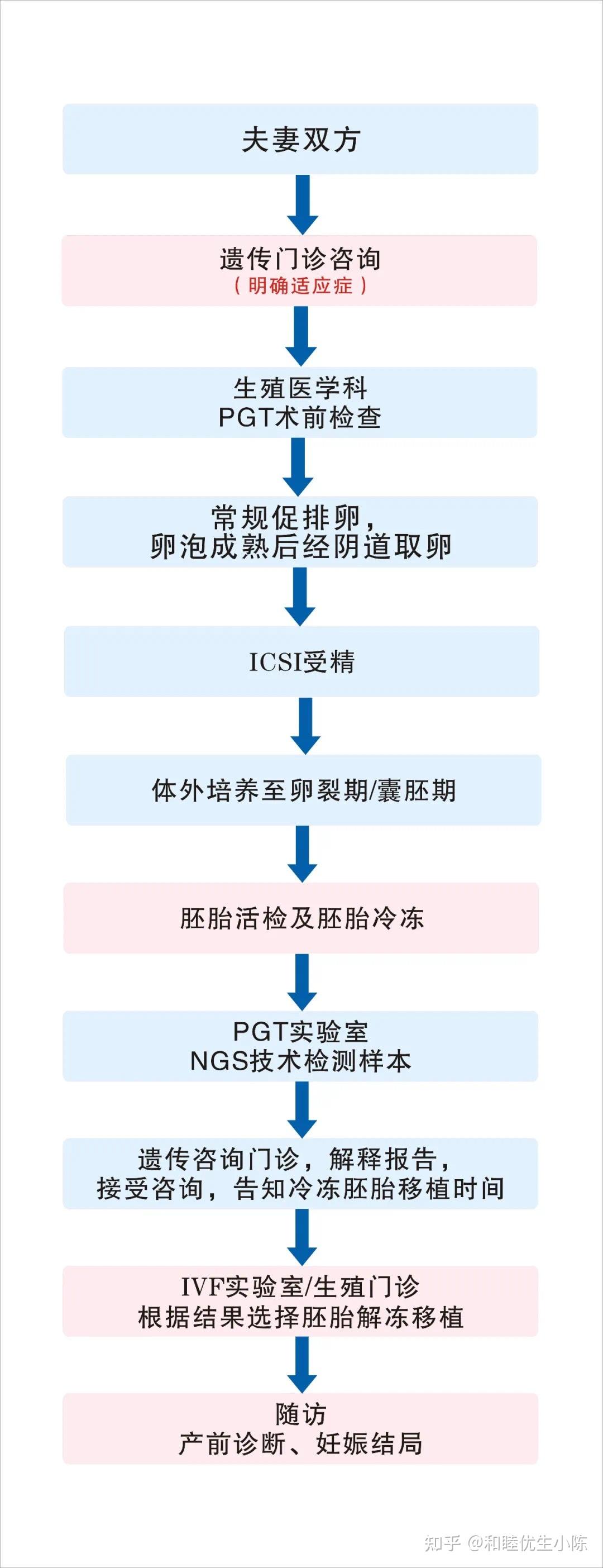 三代试管过程图片