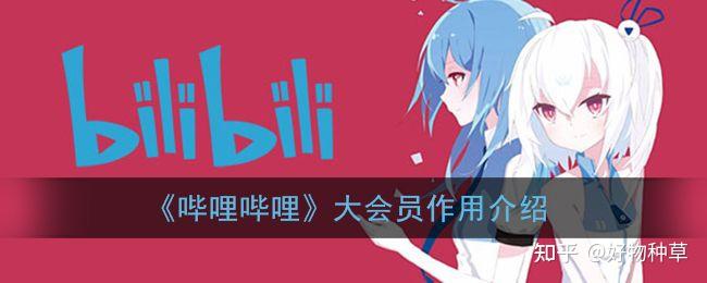 哔哩哔哩B站大会员这样买更划算!bilibili大会元年卡今天到手98元,电视大会员148元!