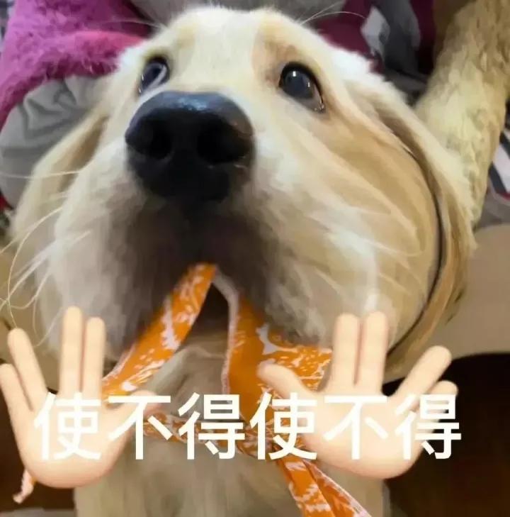 108张沙雕表情包 - 知乎