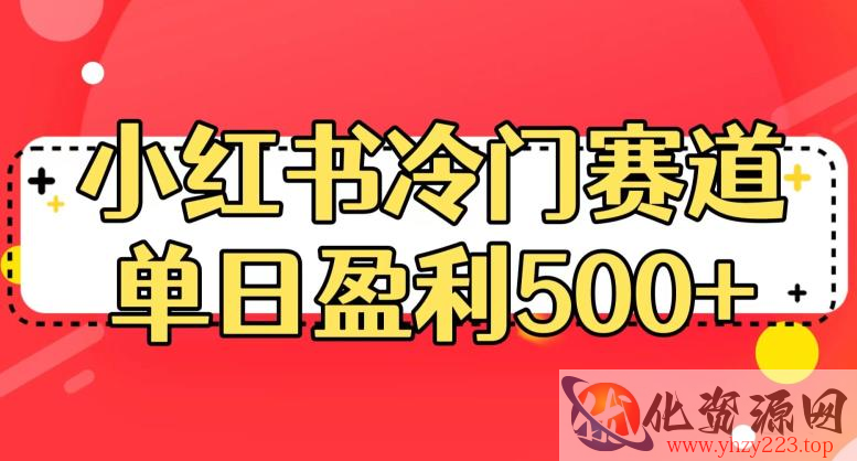 小红书冷门赛道，单日盈利500+【揭秘】