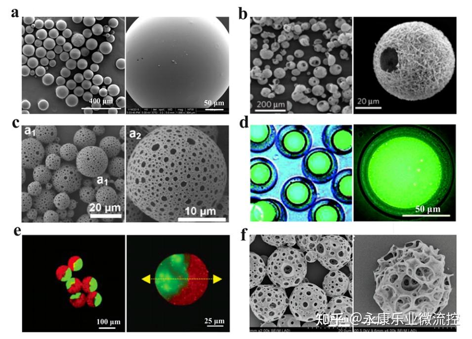 一图读懂综述：聚合物微球的制备及生物医学应用 - 知乎