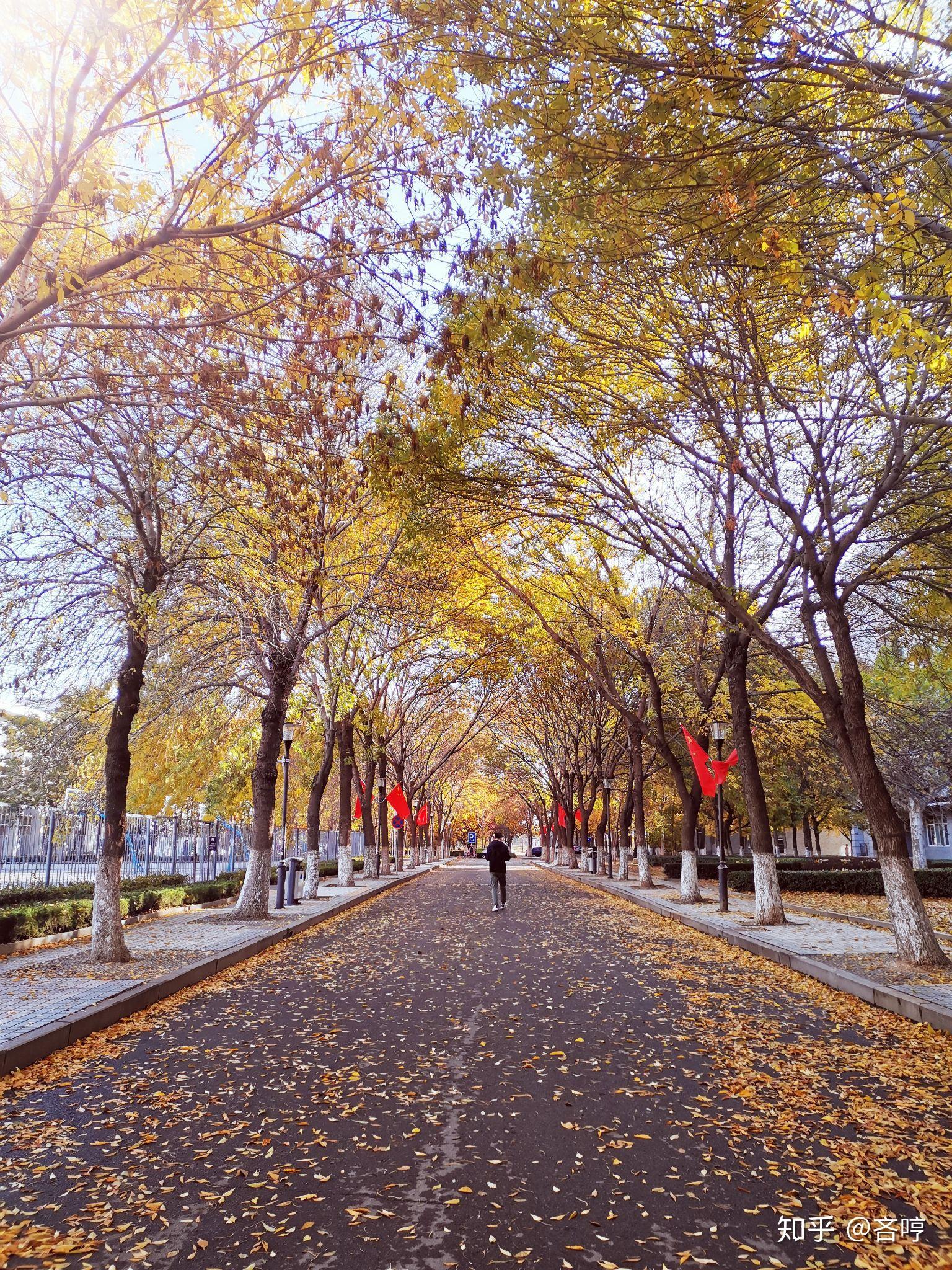 山东农业大学南校区环境怎么样? - 知乎