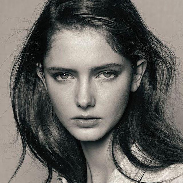 savannablade高清壁纸