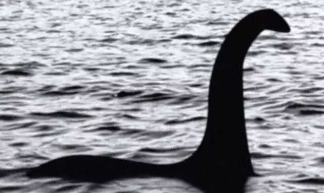 尼斯湖水怪之谜 终于真相了 这个庞然大物竟然是你常吃的 知乎