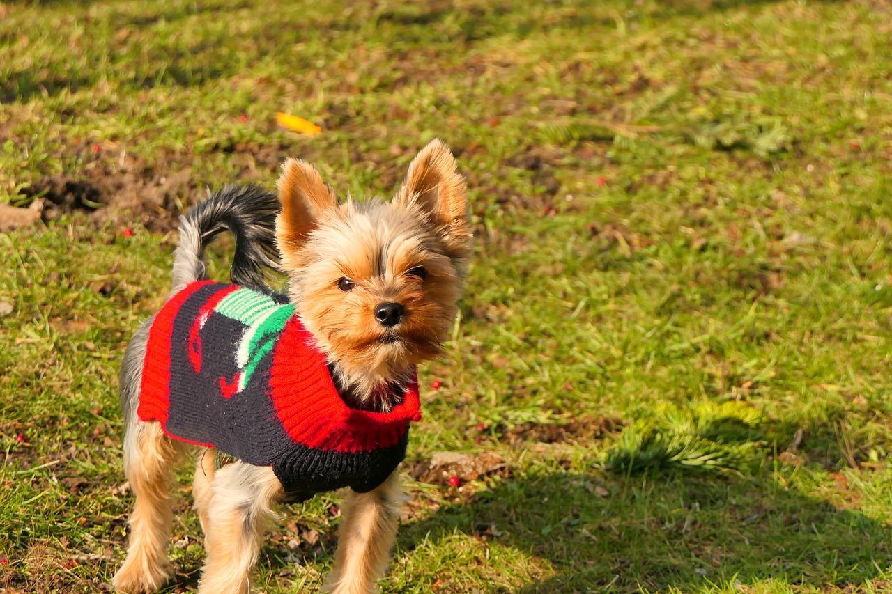 3. 光大加盟费用表