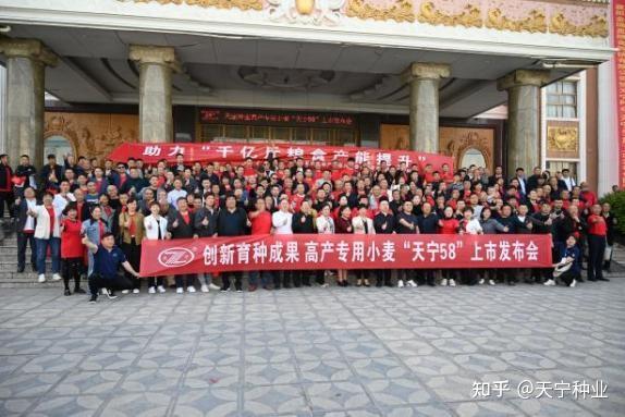 天宁种业:酒粮新秀天宁58,为酿酒而生 - 知乎