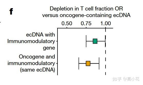 最新Nature揭示ecDNA的起源和影响 - 知乎