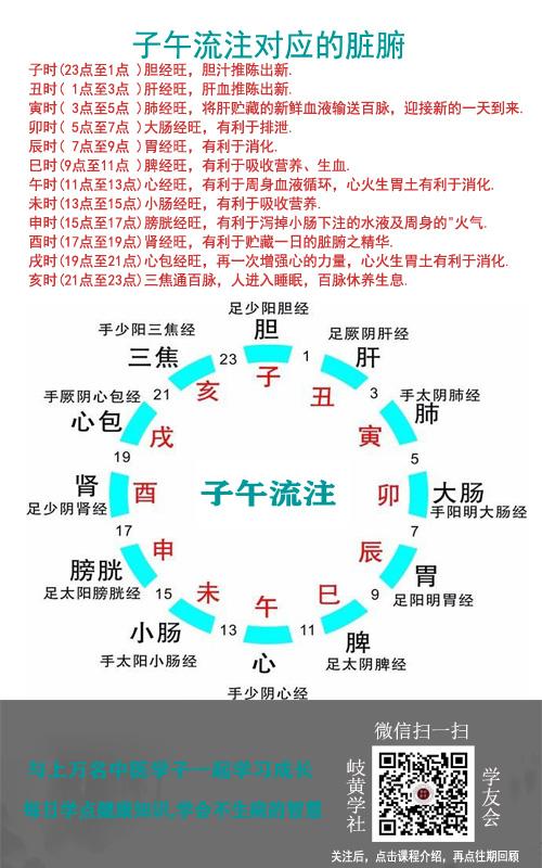 十二时辰  子午流注对应的脏腑