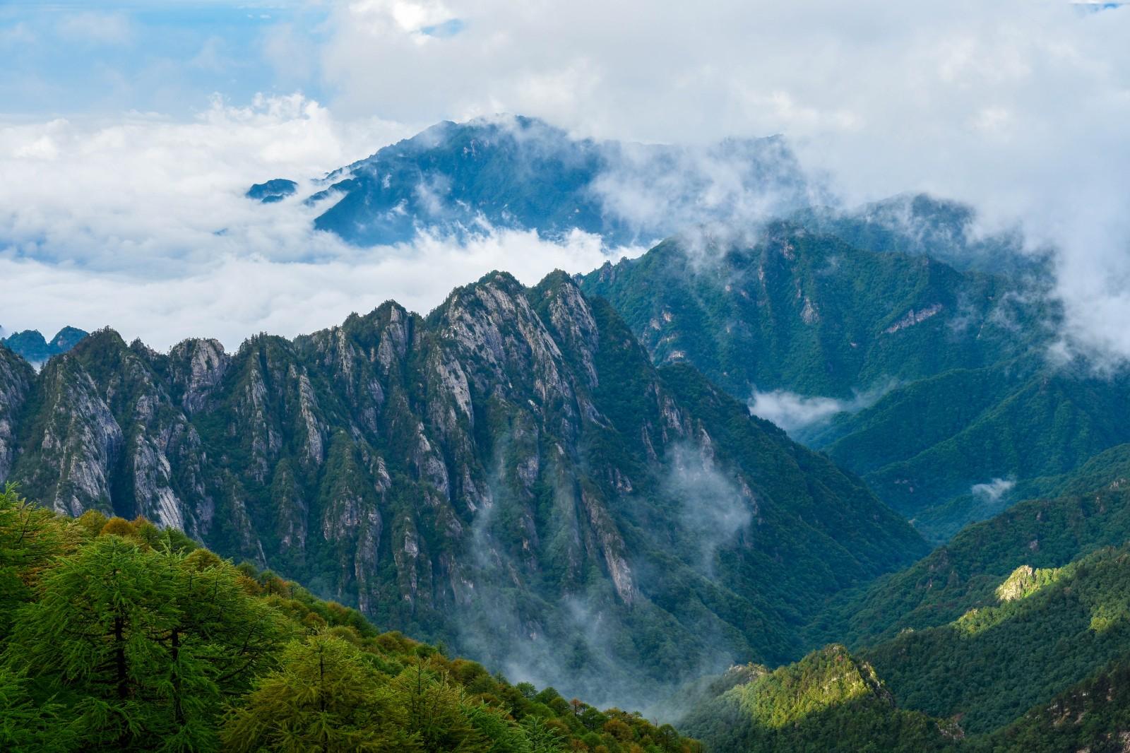 太白山国家森林公园图片