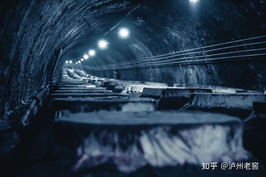 泸州市老酒协会