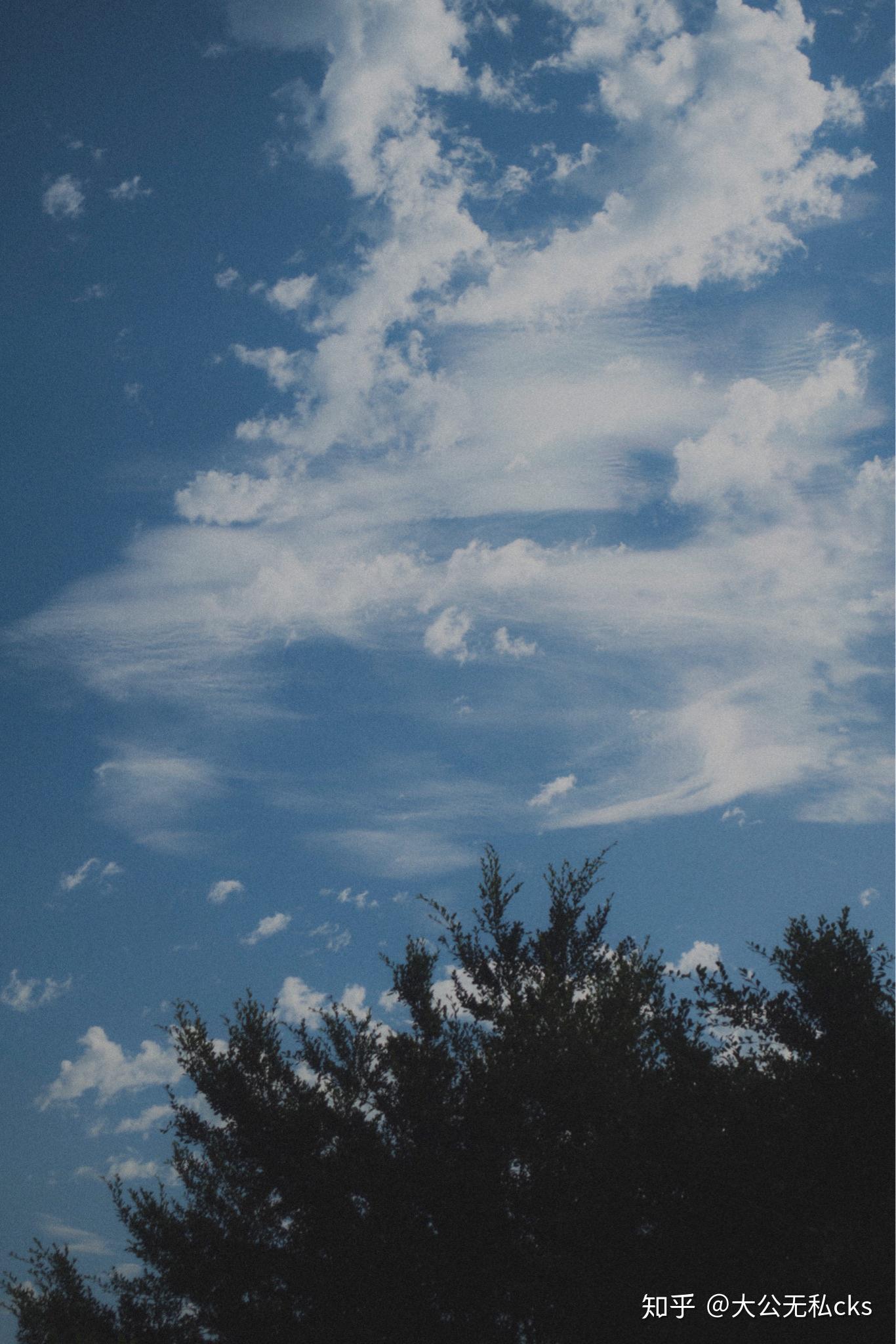 可以分享一张自己拍的最夏天的照片吗