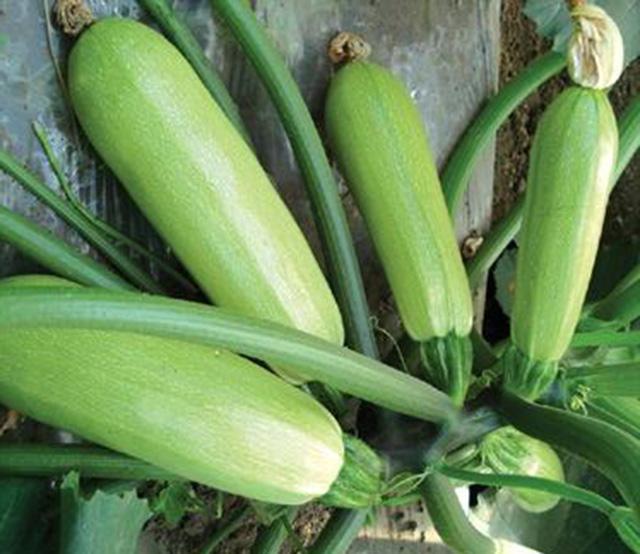 v2-6a287aba7ae3fb4c40cbb74abf19588d_1440w.jpg?source=172ae18b