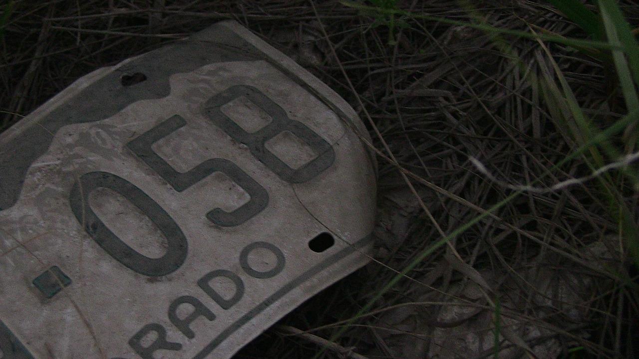 3. 摇号流程指南