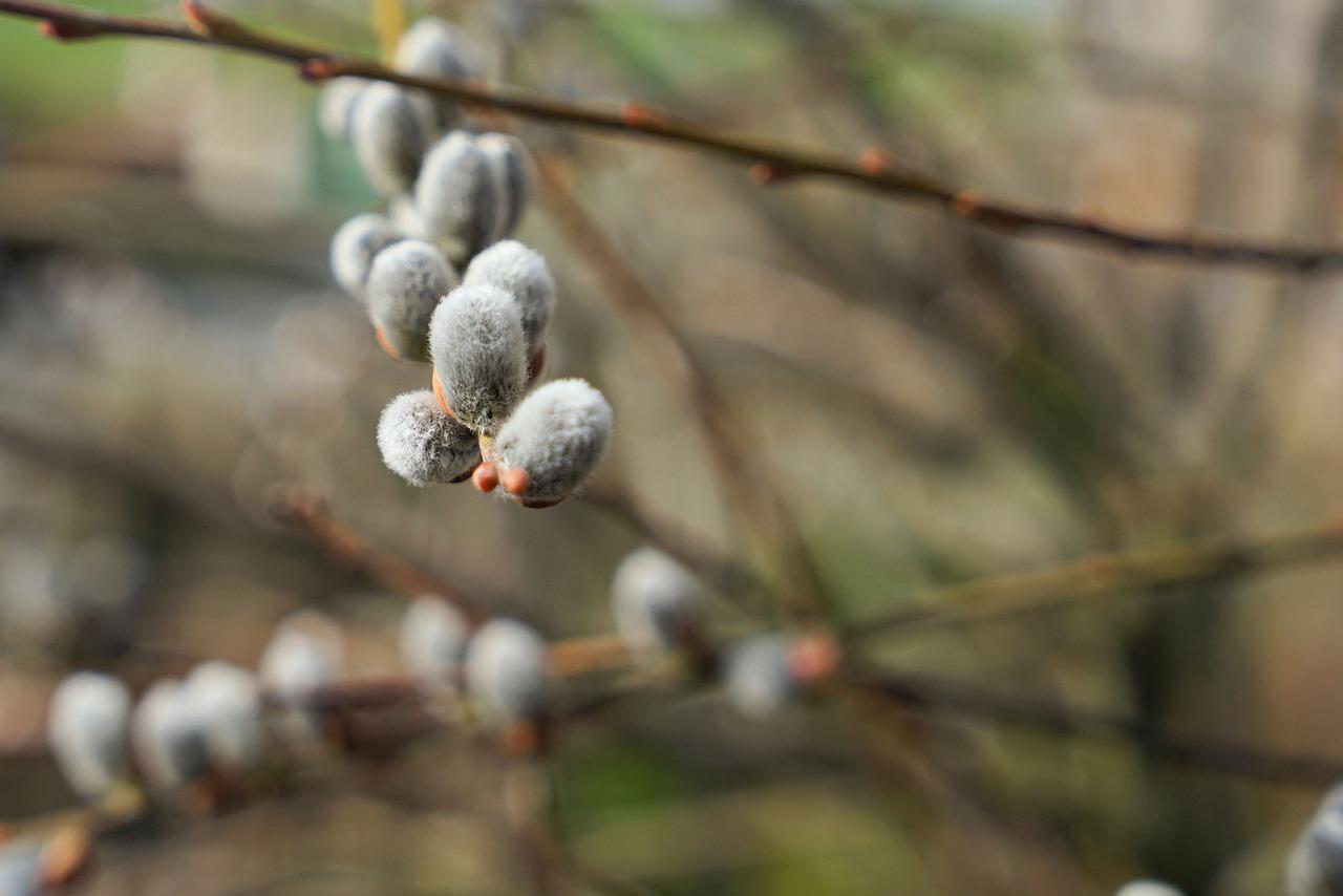 4. 临沂房产投资