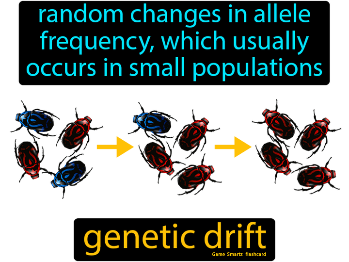 genetic-drift