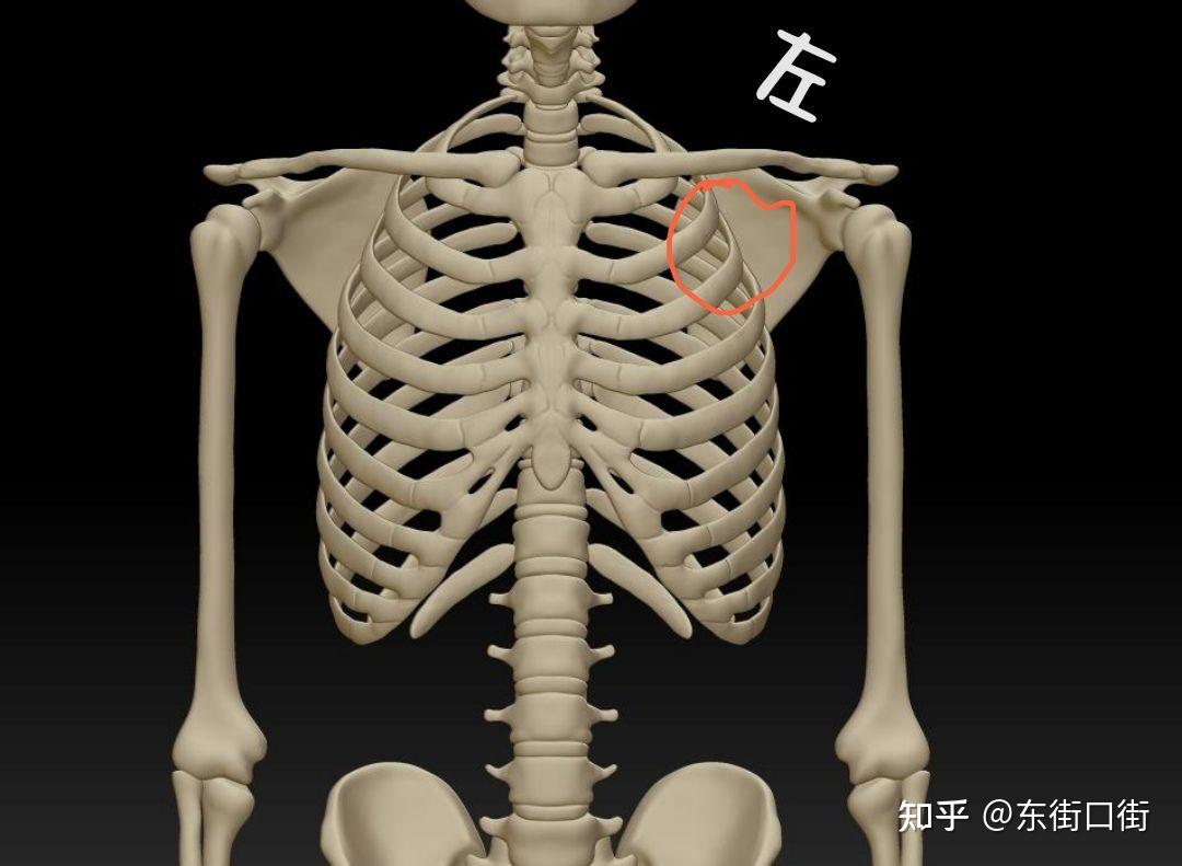 我胸口左上方刺痛,之前一直有疼痛,最近前2星期痛过一次,什么情况?