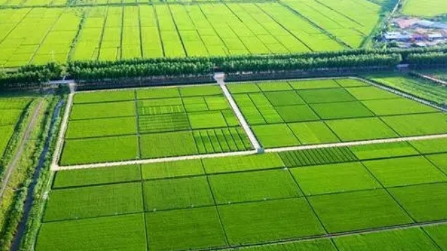 传统灌区如果实现数字化转型?灌区信息化系统来帮忙 - 知乎