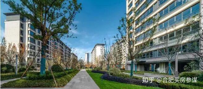 合肥房产市场2025年总结:以价换量,市区新房二手房卖超8万套 - 知乎