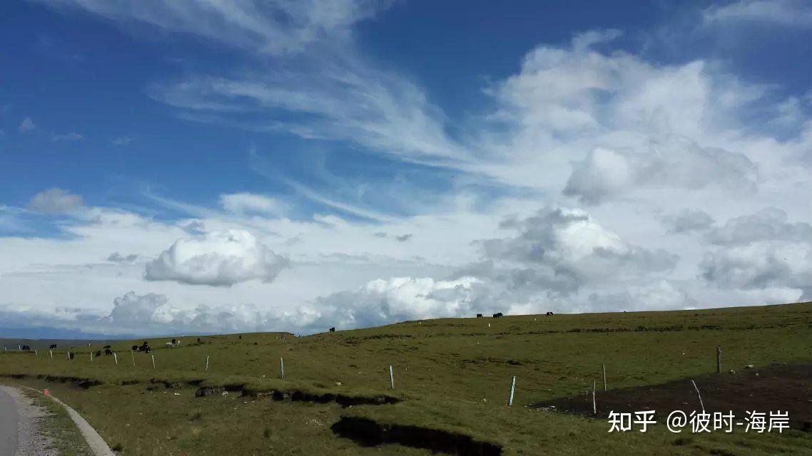 一个人孤独的看大草原旅行(一个人孤独的看大草原旅行的句子)