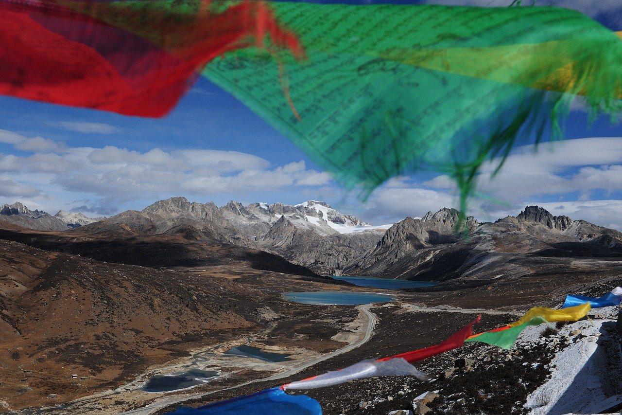 自贡仁和半岛发生过什么