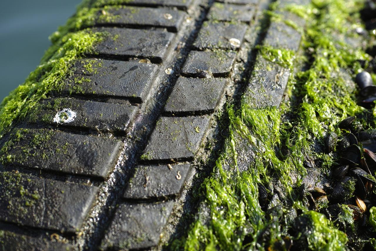 cr是什么橡胶材料