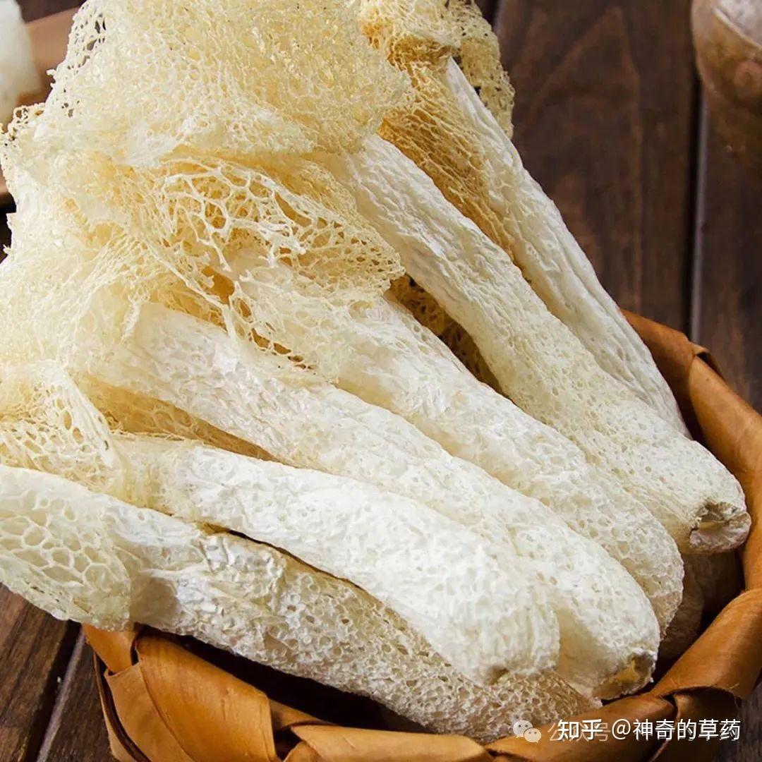 中药材:竹荪 - 知乎