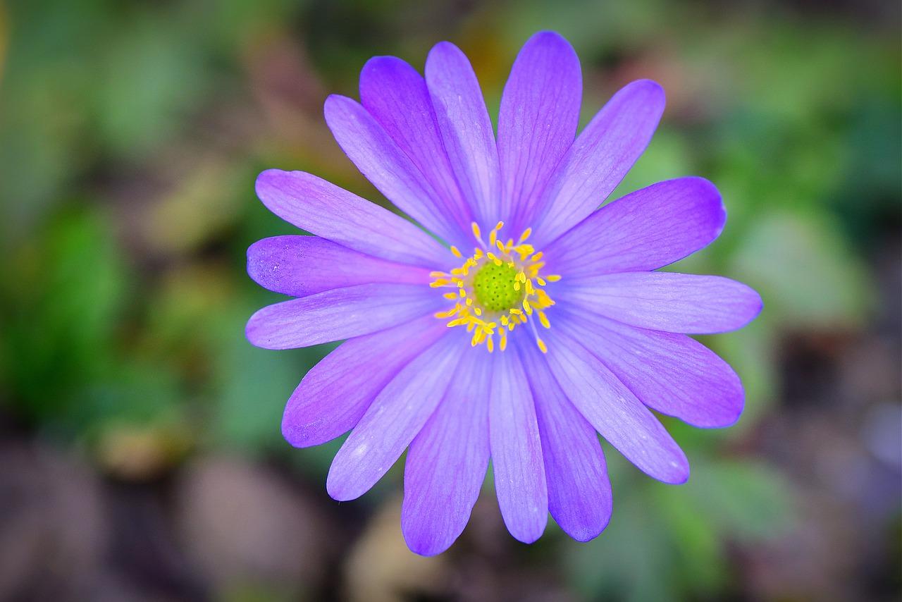花滩香榭交通指南