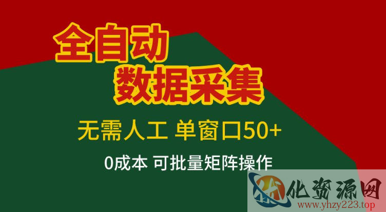全自动数据采集，无需人工，单窗口50+，0成本可批量矩阵操作【揭秘】
