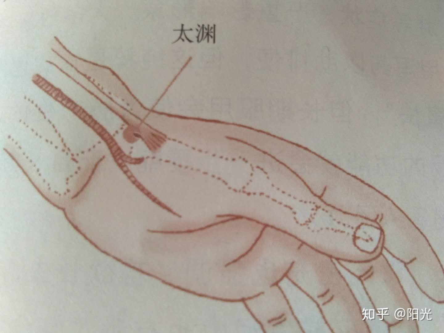 寅时养生要点 - 知乎