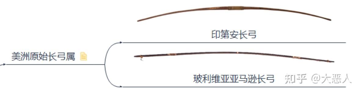 美洲原始长弓属 - 知乎