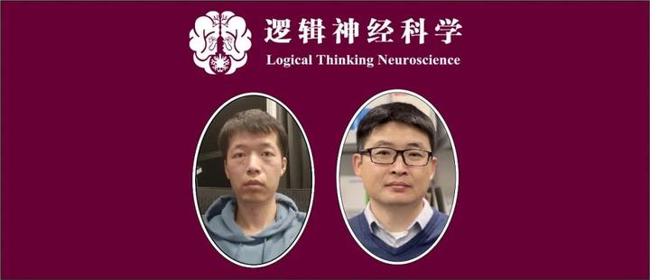 PLOS Biol︱陆伟团队发现睡眠-觉醒周期动态调节海马抑制性突触可塑性 - 知乎