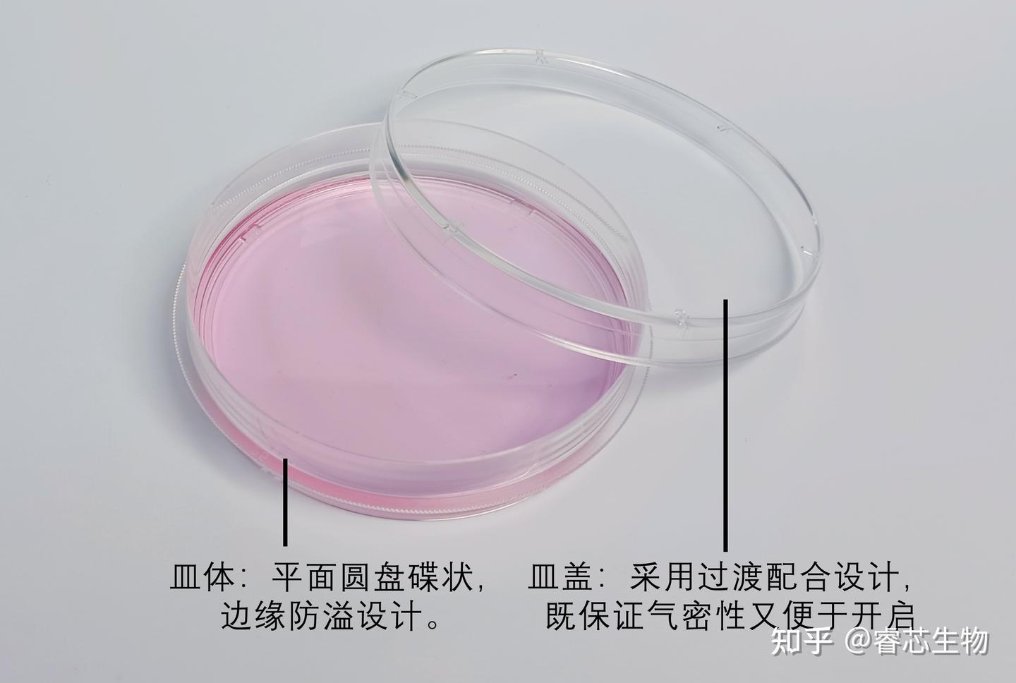Cell课堂 | 细胞培养容器大揭秘:选对才关键之培养皿篇 - 知乎