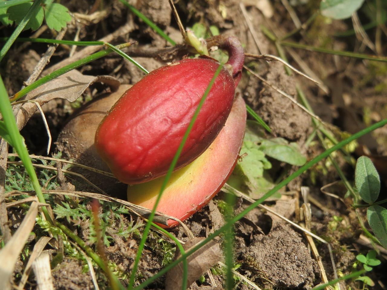 4. 橡木地板批发价