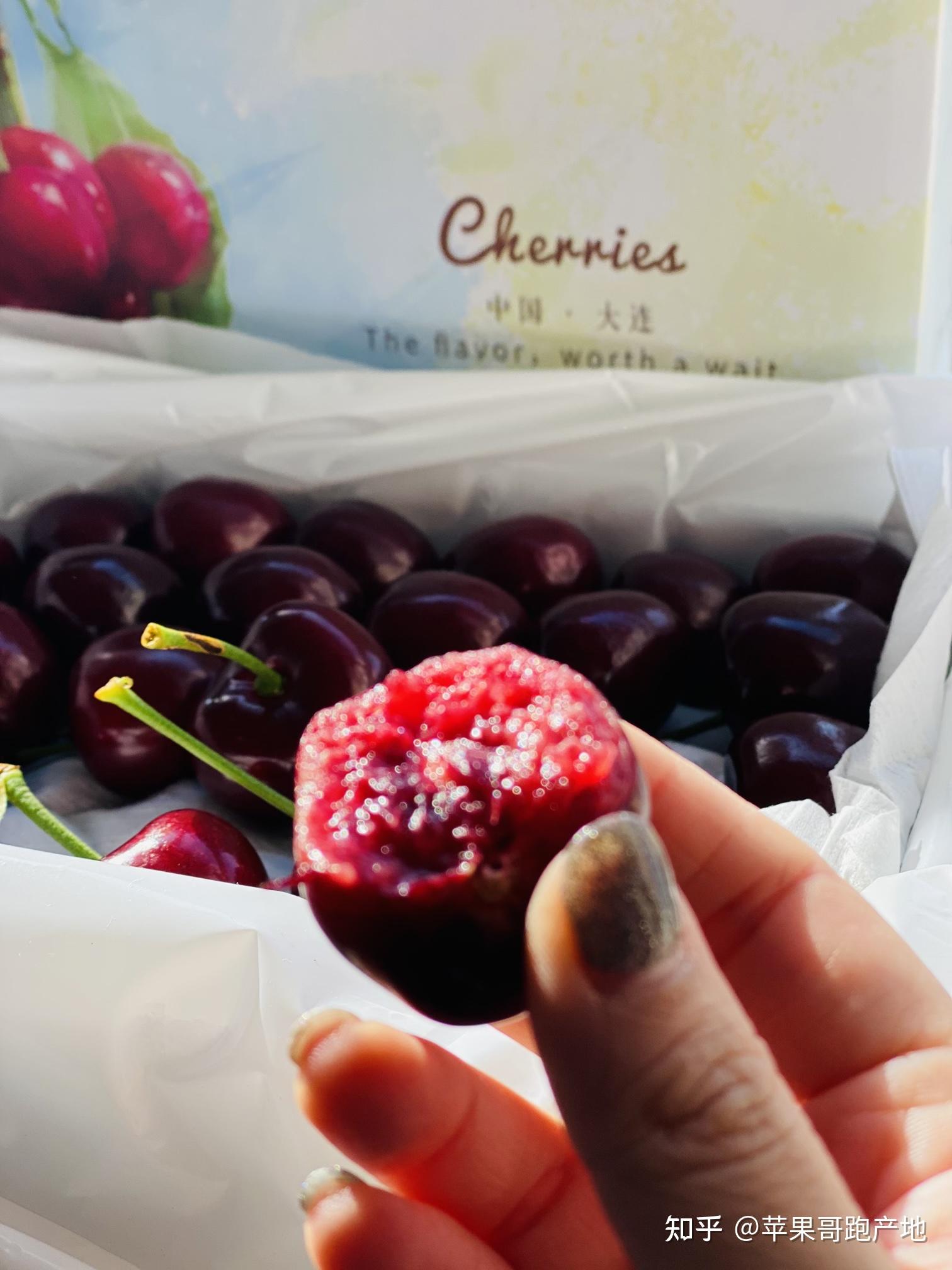 车厘子标签什么意思sd级别是4j吗