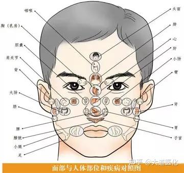面诊、眼诊、鼻诊、耳诊、唇诊、舌诊、齿诊图...都收集齐了! - 知乎