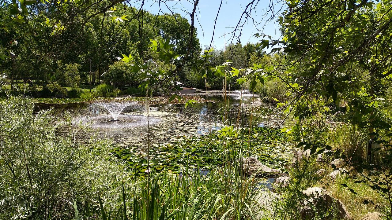 5. 公园绿地增加